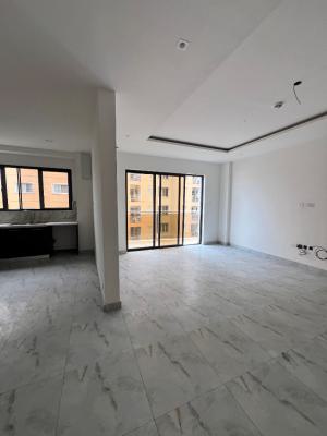 Brand New 2 Bedrooms Apartment with Pool and Gym, Ikate, Lekki, Lagos, Flat / Apartment for Sale