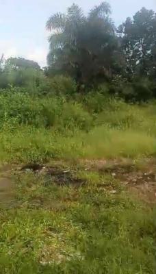 a Prime Plot of Land in a Serene Environment, Ado Road, Oke Ira, Ajah, Lagos, Mixed-use Land for Sale