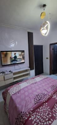 Furnished Mini Flat with a Standard Kitchen, Canal West Estate Osapa London, Lekki, Lagos, Mini Flat (room and Parlour) for Rent