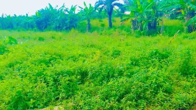 2 Plots of Land, Oke Obere, Ijoka Road, Akure, Ondo, Mixed-use Land for Sale