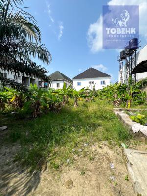 Prime Plot of Land in a Serene Access Controlled Estate, Sangotedo, Ajah, Lagos, Land for Sale