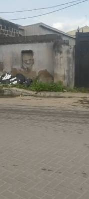 Land Size: 1,011 Sqm, Goodluck Street, Ori-oke, Ogudu, Lagos, Mixed-use Land for Sale