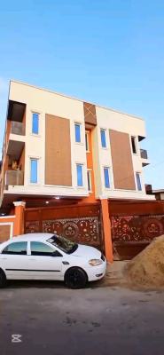 Standard and Spacious 2 Bedroom Flat, Randle, Surulere, Lagos, Flat / Apartment for Rent
