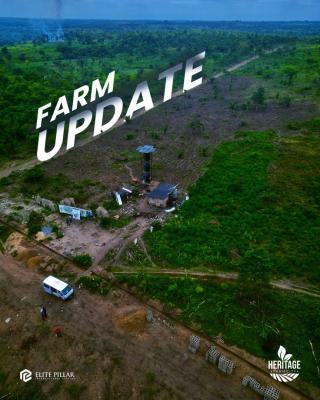 Genuine Farmland in a Prime Location Earn Annually, Few Minutes From Funnab, Abeokuta South, Ogun, Mixed-use Land for Sale