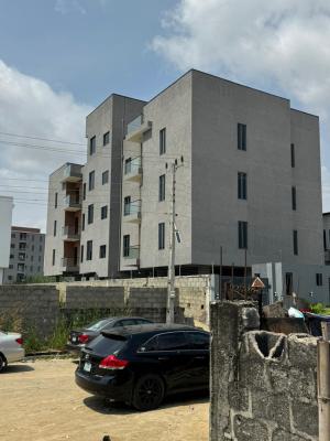 Gorgeous 2 Bedroom Apartment with a Bq, Ikate, Lekki, Lagos, Flat / Apartment for Sale