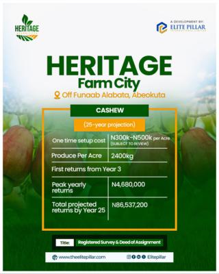 Most Profitable Farm Business, Alabata Buy Land and We Farm for You, Abeokuta North, Ogun, Commercial Land for Sale