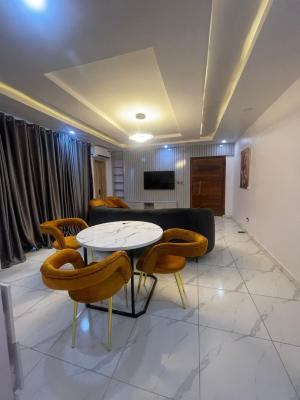 Fully Serviced 2 Bedroom Apartment with Solar Inverter, Ikate, Lekki, Lagos, Flat / Apartment for Rent