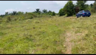 Distress 90plots of 500sqm Bareland, Iberekodo, Ibeju Lekki, Lagos, Mixed-use Land for Sale