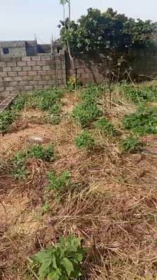 Residential Land, Leisure Court Estate, Sabon Lugbe, Lugbe District, Abuja, Residential Land for Sale
