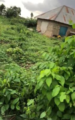 2 Plots and 6 Plots of Land, Olodo, Ibadan, Oyo, Land for Sale