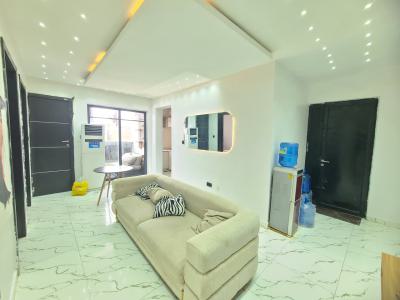 Fully Furnished 2bedroom Apartment, Ologolo, Lekki, Lagos, Flat / Apartment for Rent