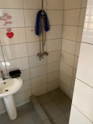 2 Bedroom Apartment, Ogidan, Sangotedo, Ajah, Lagos, Flat / Apartment for Rent