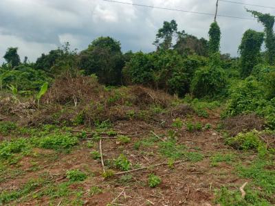 Buy 3 Plots and Get 1 Free, Success Park, Obafemi Owode, Ogun, Mixed-use Land for Sale