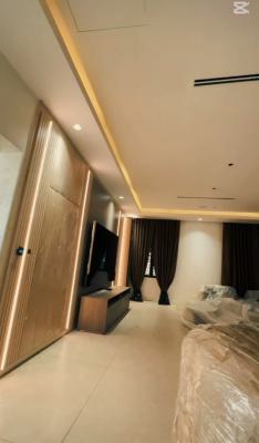 Newly Built Fully Furnished 7 Bedroom Mansion with Bq, Asokoro Main, Asokoro District, Abuja, Detached Duplex for Rent