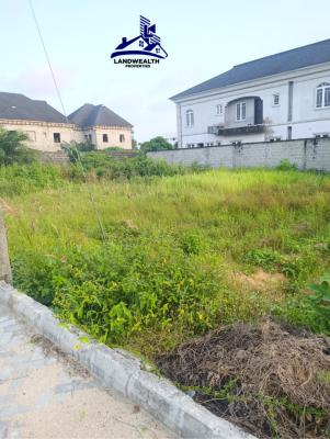 400sqm Bare-land, Diamond Estate Phase 2, Sangotedo, Ajah, Lagos, Residential Land for Sale
