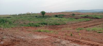 Buy and Build Land with Flexible Payment Plans in Ozalla By 4 Corner, Directly Facing Portharcourt Enugu Express, New Haven, Enugu, Enugu, Residential Land for Sale