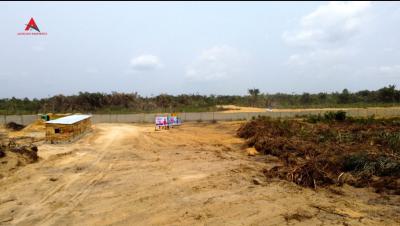 C of O Land, Magnificent Garden Adjacent to Lekki Airport, Lekki, Lagos, Residential Land for Sale