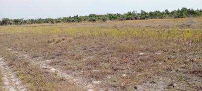 Lagos State Government Approved This Land Very Close to Amen Estate, Sun City Phase 1 Extension Close to Lekki Free Trade Zone, Ibeju Lekki, Lagos, Mixed-use Land for Sale