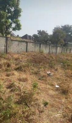 1300sqm Residential Land on Tarred Road, Gwarinpa Main, Gwarinpa, Abuja, Residential Land for Sale