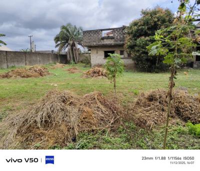 Superbly Located 2000sq.mt-dry, Fully Fenced Mixed-use Land, Perfectly, Okota Ago, Okota, Isolo, Lagos, Mixed-use Land for Sale