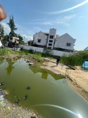 700sqm of Cornerpiece Land with Pilling, Akin Ogunlewe, Victoria Island (vi), Lagos, Mixed-use Land for Sale