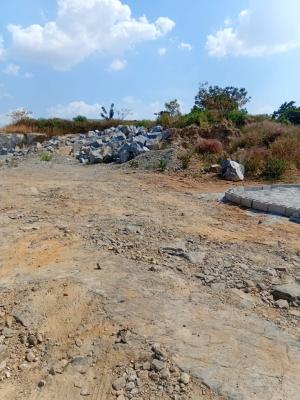 Land in State Villa Asokoro Abuja, Asokoro District, Abuja, Mixed-use Land for Sale