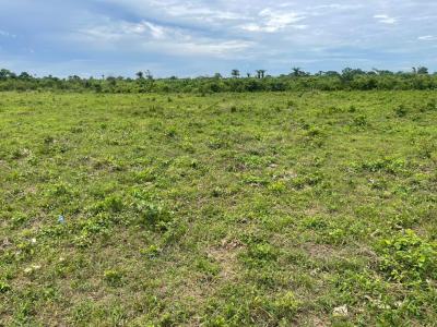 Farm Land, Farm Land with Free Seedlings for Cultivation Around Funaab, Abeokuta North, Ogun, Commercial Land for Sale