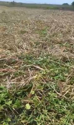 1,673sqm Vacant Land, Lagasa Town, Lakowe, Ibeju Lekki, Lagos, Mixed-use Land for Sale