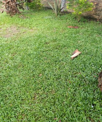 Prime Land in an Elite Estate, Naf Harmony Estate Extension, Eliozu, Port Harcourt, Rivers, Residential Land for Sale