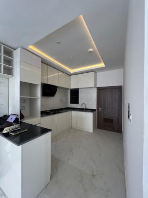 Fully Finished 2-bedroom Apartment with Bq*, Ikate, Lekki, Lagos, Flat / Apartment for Rent