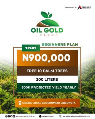 Make 600k Yearly From a Plot at Oil Gold Farm, Odeda Local Government,, Abeokuta North, Ogun, Industrial Land for Sale
