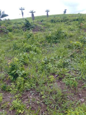 Land Near Asaba International Airport, Ubulu Okiti, Asaba, Delta, Land for Sale