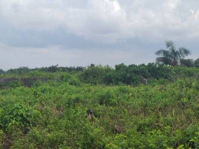 Verified Buy and Build Land in a Secured Environment, Secured Buy and Build in Abuleado Lagos State, Badagry, Lagos, Residential Land for Sale