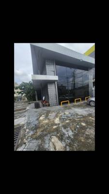 Detached Duplex for All Commercial Purposes on a Commercial Road, Awolowo Road, Ikoyi, Lagos, Detached Duplex for Rent