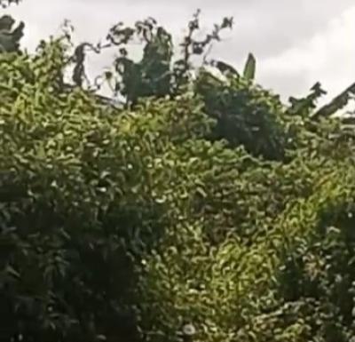 100ft By 100ft Empty Land Fenced Round, Adesuwa Road, Gra, Off Aideyan Road, Benin, Oredo, Edo, Land for Sale