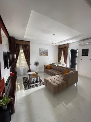 Newly Launched Spacious 1 Bedroom with 24/7 Power & Excellent Facility, Abraham Adesunya, Lekki, Lagos, Flat / Apartment Short Let