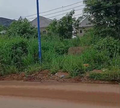 100ft By 100ft Land, Along Ogunmwenyin Road, Off Aruogba, Airport Road, Benin, Oredo, Edo, Land for Sale