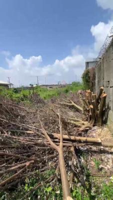 680.sqm Land at Lagos Business School Facing Lekki Epe Expressway, Facing Lekki Epe Expressway By Lagos Business School, Ajah, Lagos, Mixed-use Land for Sale