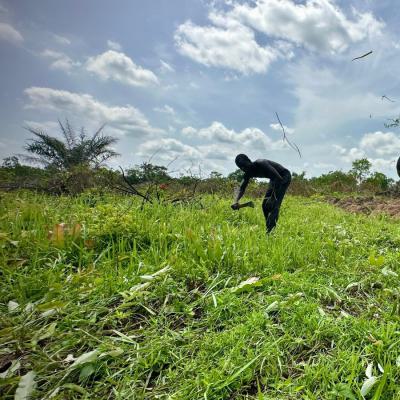 Acres of Farmland in Shapade After Sagamu Interchange, Ogun, Shapade After Shagamu Interchange, Remo North, Ogun, Commercial Land for Sale
