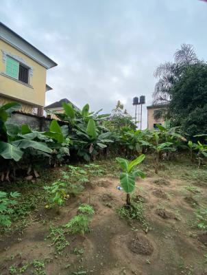 1 Plot of Land Fully Fenced & Gated, with Constant Electricity, Farm Estate, Off Rumuokwurusi Tank Flyover, Port Harcourt, Rivers, Mixed-use Land for Sale