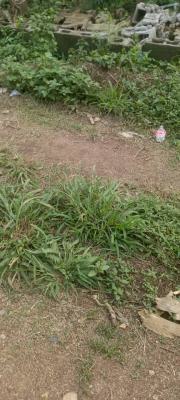 Prime Land in Kolapo Ishola Estate, Kolapo Ishola Gra, Ibadan, Oyo, Residential Land for Sale