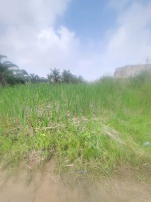 Full Plot of Land, Silver Point, Badore, Ajah, Lagos, Mixed-use Land for Sale