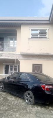 Luxury 4 Flats in a Good Estate, S. Forte Estate, Off Ado Road., Ajah, Lagos, Flat / Apartment for Sale