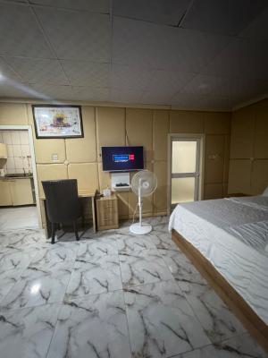 Spacious Studio Apartment in Victoria Island, Idejo Street Victoria Island, Victoria Island (vi), Lagos, Self Contain (single Rooms) Short Let