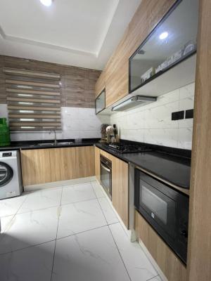 Fully Furnished, Spacious and Serviced 2 Bed Apartment, Ologolo, Lekki Lagos, Lekki, Lagos, Flat / Apartment for Rent