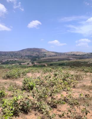 Residential Land, Katampe Extension, Katampe, Abuja, Residential Land for Sale