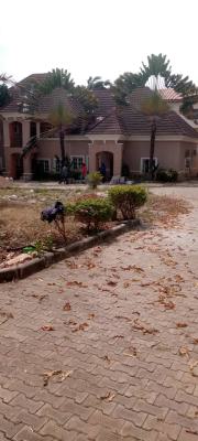 8 Bedroom Detached Duplex with Bq, Wuse 2, Abuja, Detached Duplex for Rent