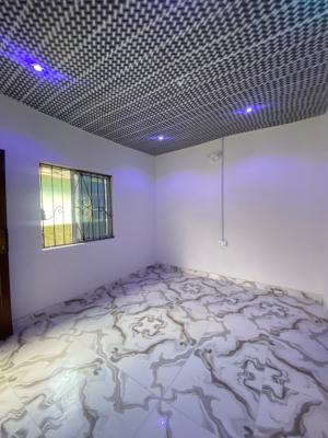 an Executive One Bedroom Flat, Peace Land Estate Ogombo Off Abraham Adesanya Ajah, Lekki, Lagos, Mini Flat (room and Parlour) for Rent