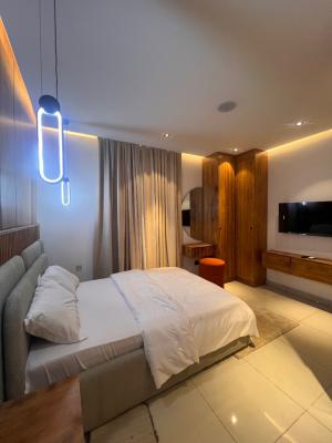 Secure a Cashflow Generating Asset in a Serene Estate, Secure a Cashflow Generating Asset with High Returns, Surulere, Lagos, Flat / Apartment for Sale