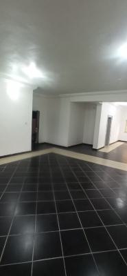 Clean 2 Bedrooms Apartment with Bq, Wuse 2, Abuja, Flat / Apartment for Rent